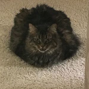 Meet your Posher, Gabrielle